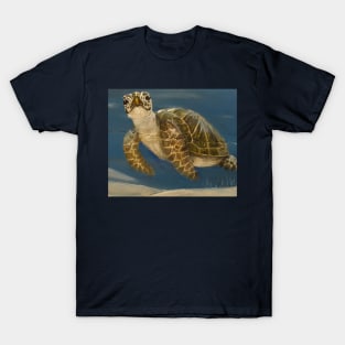 Sea Turtle Crush T-Shirt